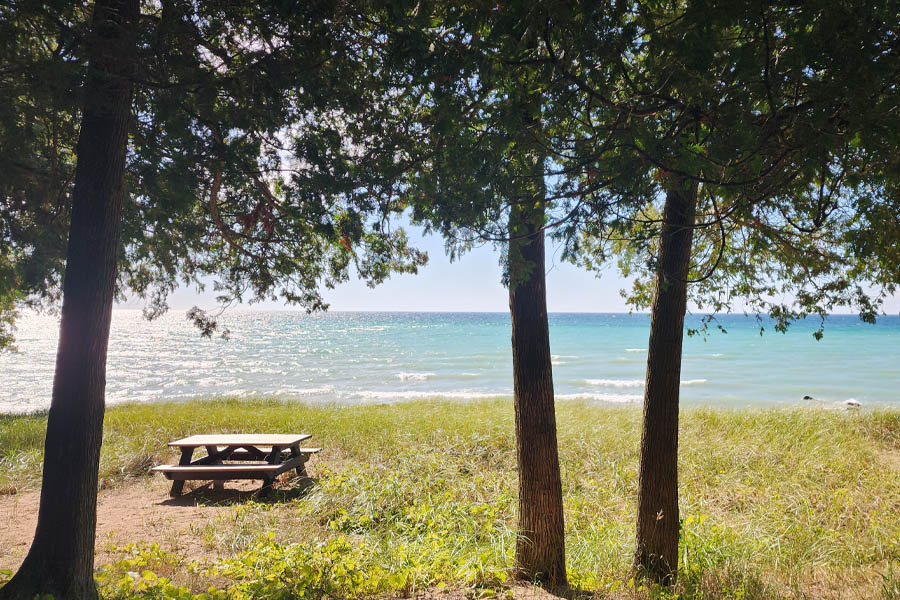 Bad-Website-Worse-Than-No-Website-Marcie-Wolf – 1 Good Hart Michigan Special Place