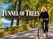 Tunnel of Trees Good Hart Michigan